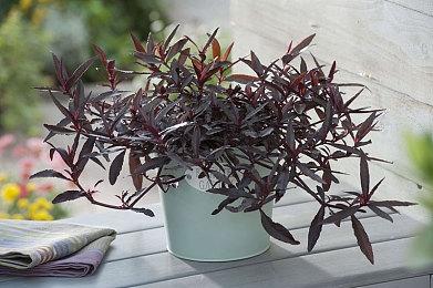 除了加油还能建机场 《加油站大亨》新DLC《小机场》公布